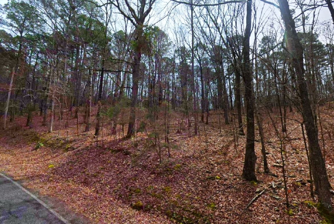 land in arkansas for sale