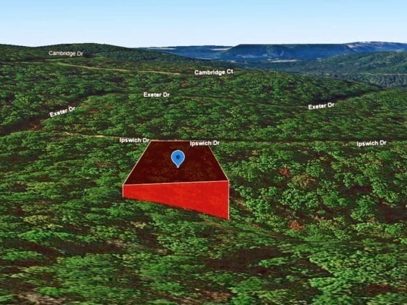 0.47-Acre Land for Sale in Mountain View Arkansas