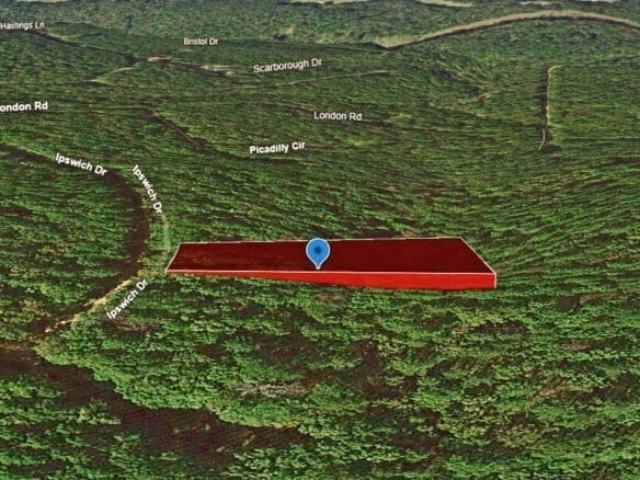 0.47-Acre Land for Sale in Mountain View Arkansas