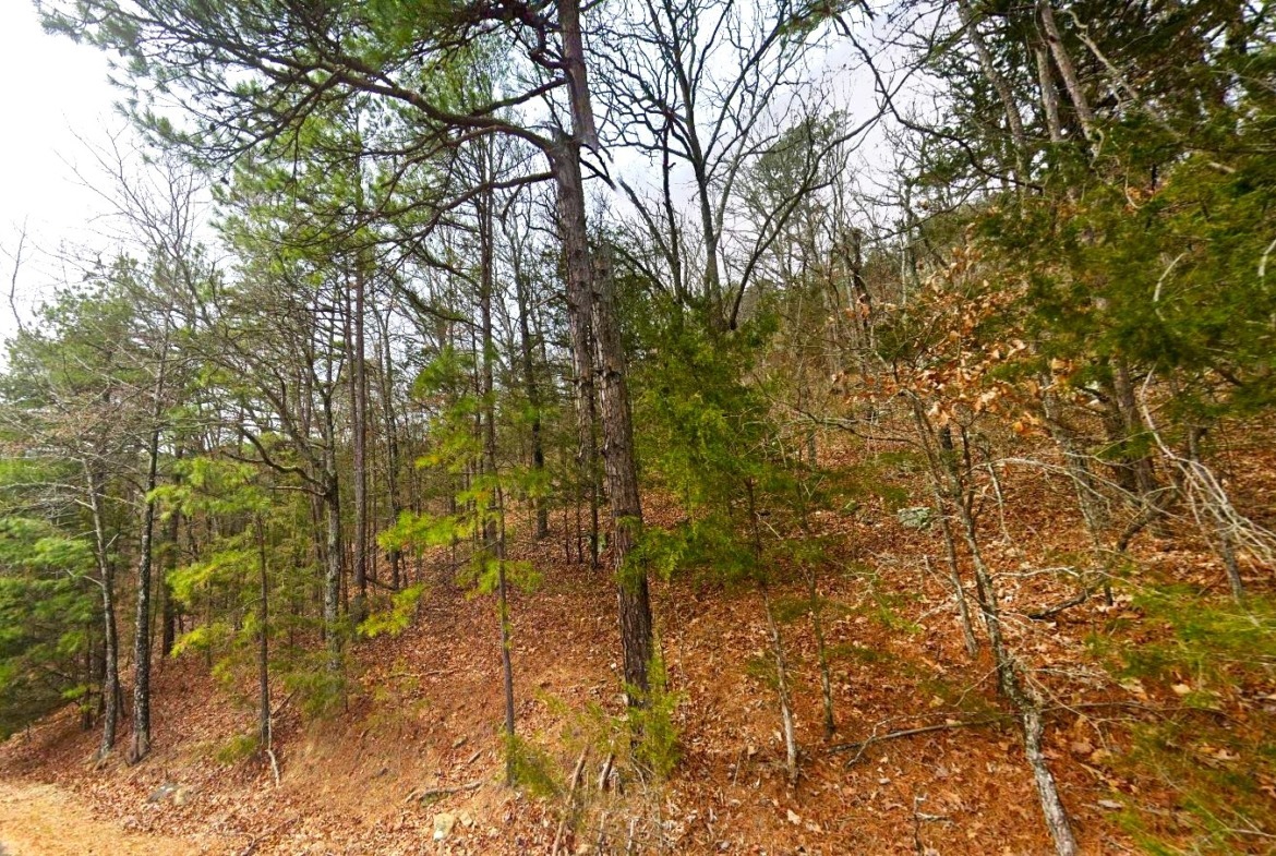 land for sale in arkansas ozarks