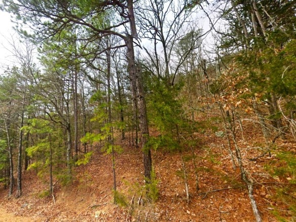 SOLD – 0.31-Acre Land for Sale in Arkansas Ozarks
