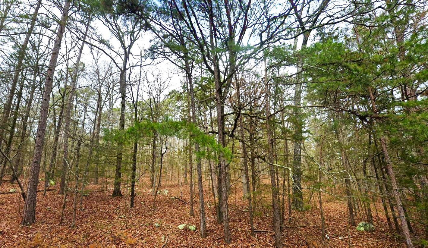 Land for Sale Mountain View Arkansas