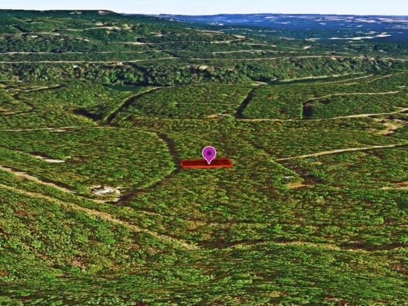 0.26-Acre Cheap Land for Sale in Arkansas Ozarks