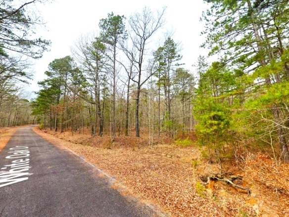SOLD- 0.33-Acre Treed land for sale in Arkansas with water