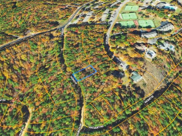 0.26-Acre Mountain View Arkansas Land for Sale