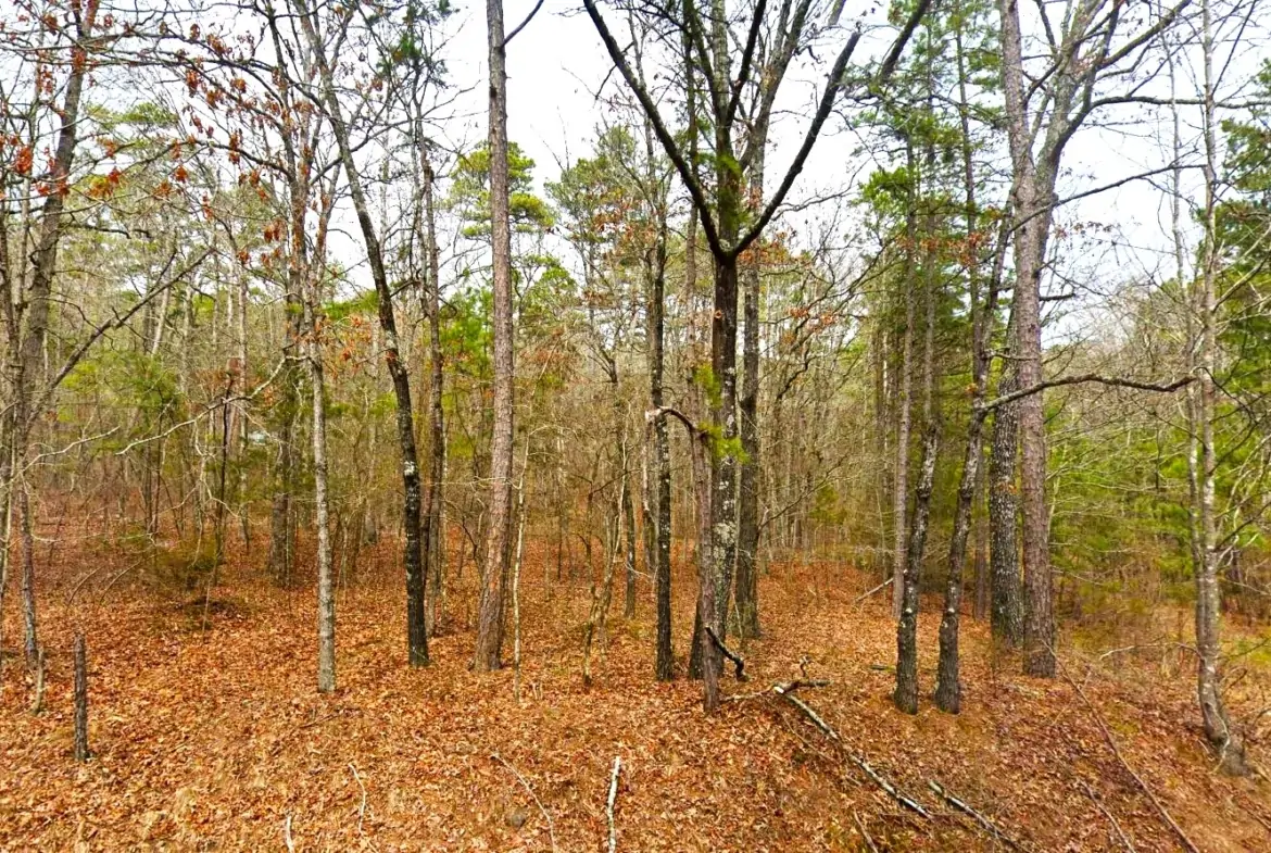 arkansas land for sale