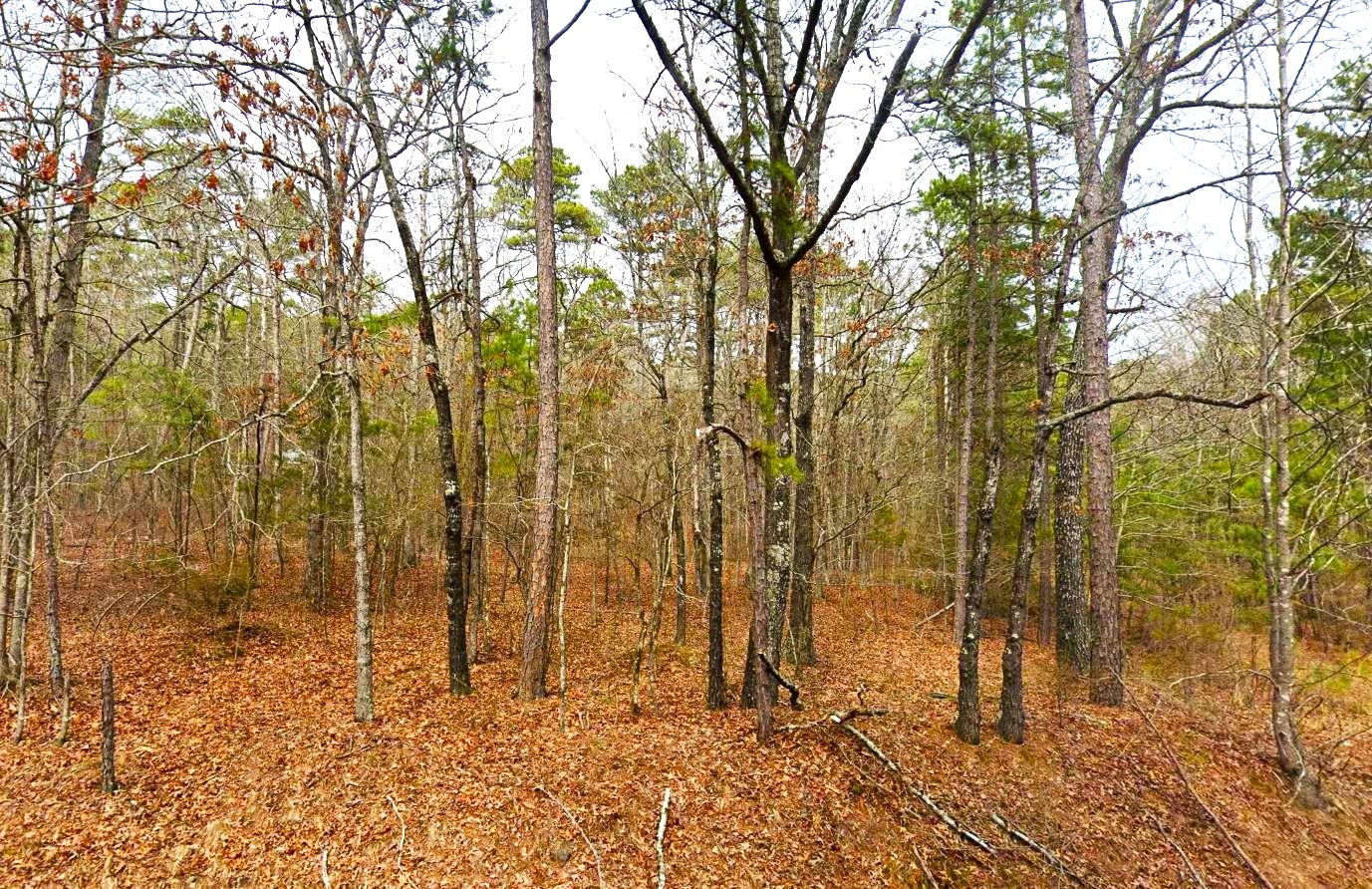 arkansas land for sale