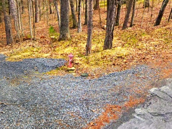 SOLD- 0.33-Acre Land for Sale in Ozarks, Arkansas