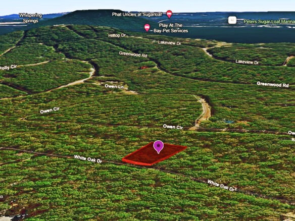 0.26-Acre Cheap Land for Sale in Arkansas Ozarks