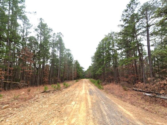 0.27 Acres Land for Sale with Lake View in Arkansas