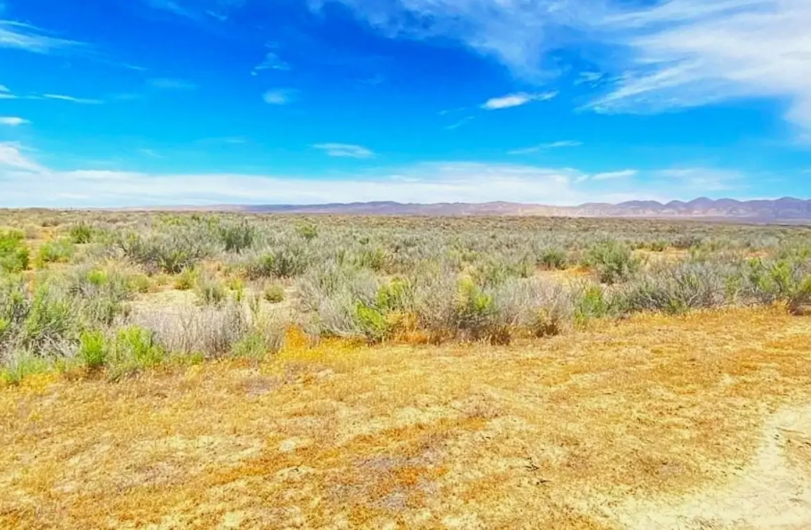 farm land for sale california