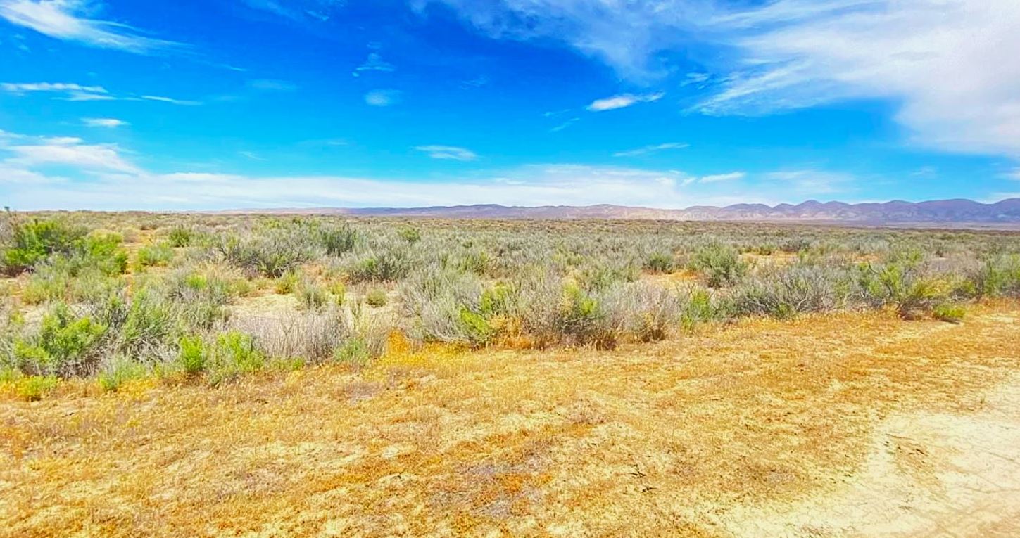 farm land for sale california