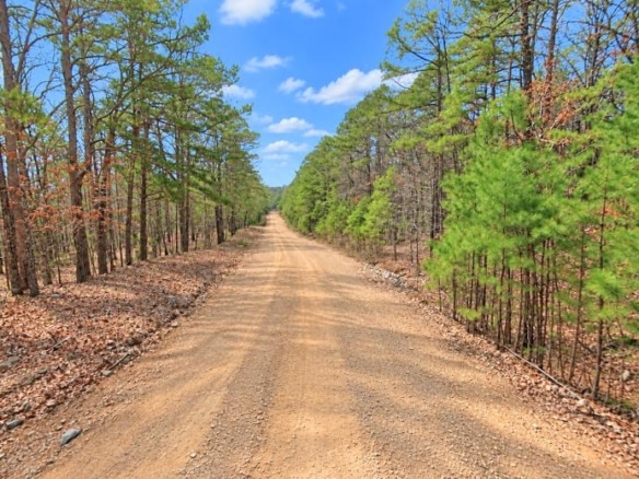 0.23-Acre Land in Ozark Arkansas For Sale