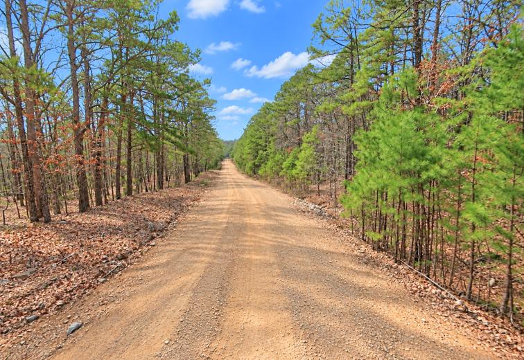 0.23-Acre Land in Ozark Arkansas For Sale
