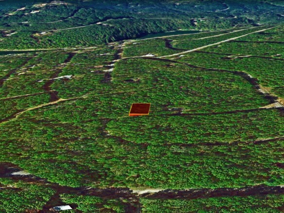 0.28 Acres cheap land for sale in Arkansas with Mountain View