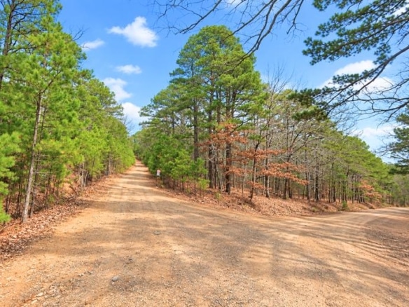 0.23-Acre Land in Ozark Arkansas For Sale