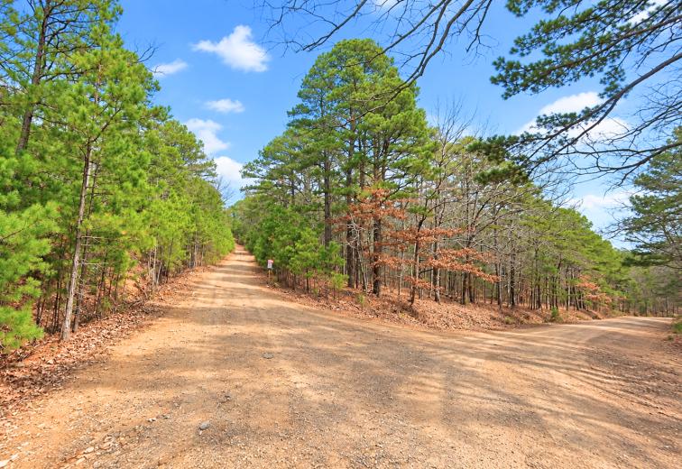 0.23-Acre Land in Ozark Arkansas For Sale