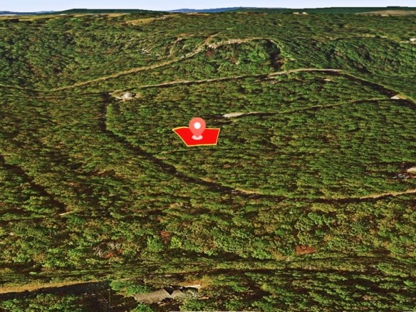SOLD- 0.33-Acre Treed land for sale in Arkansas with water