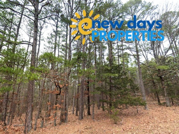 0.27 Acres Land for Sale with Lake View in Arkansas