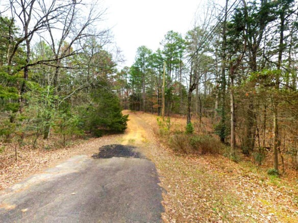0.30-Acre Treed Land for Sale in Mountain View Arkansas