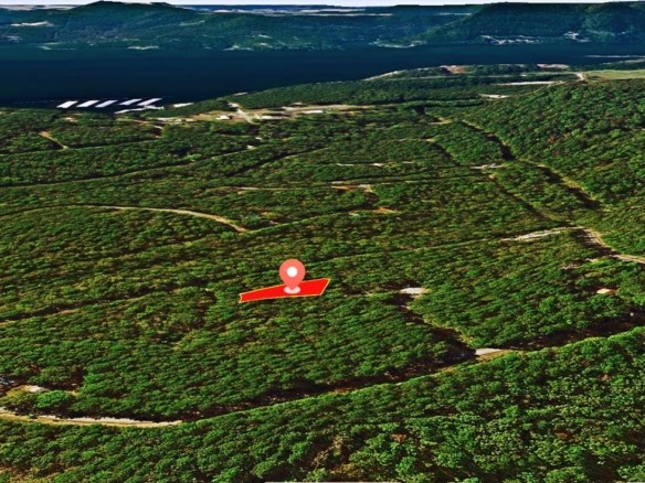 SOLD- 0.33-Acre Treed land for sale in Arkansas with water