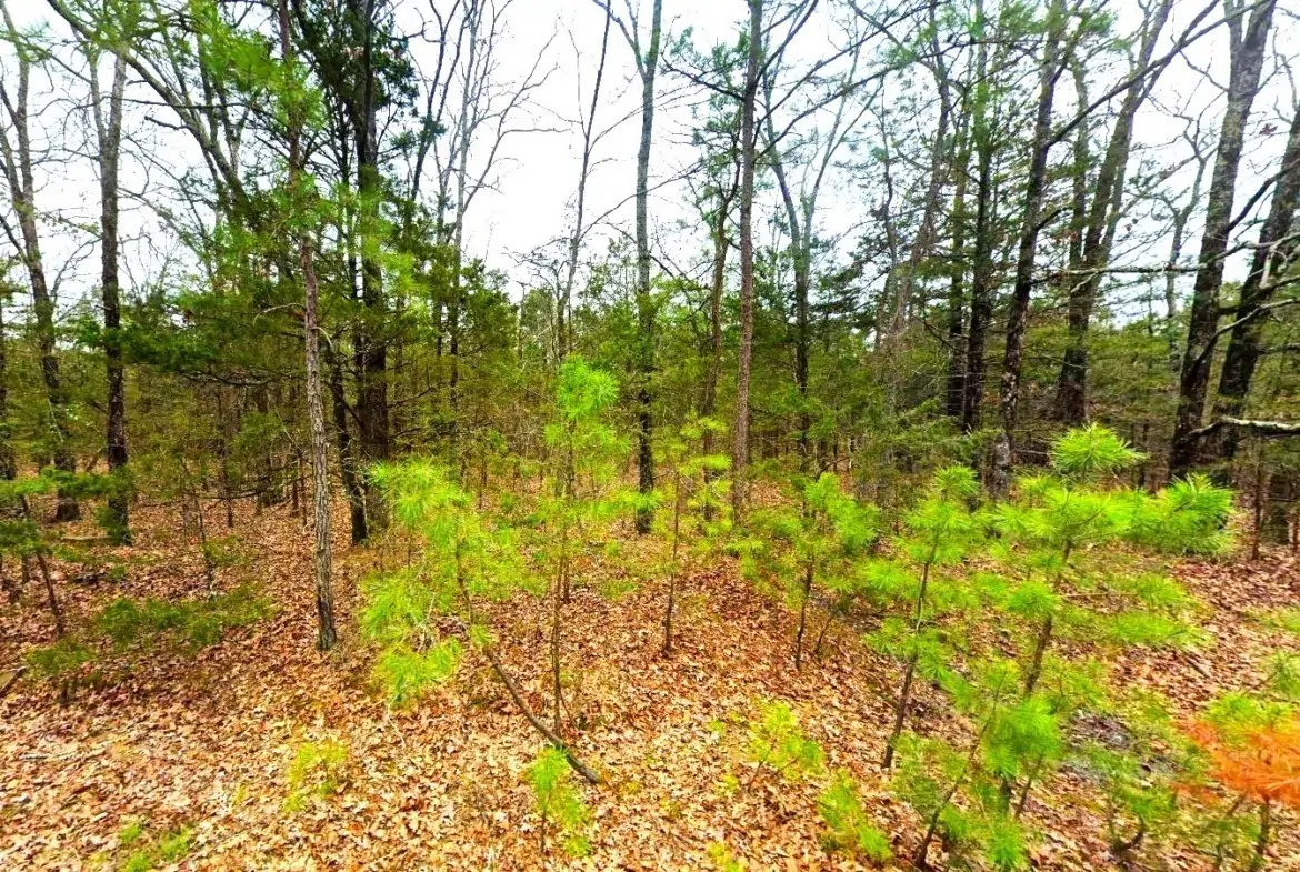 land for sale in arkansas ozarks