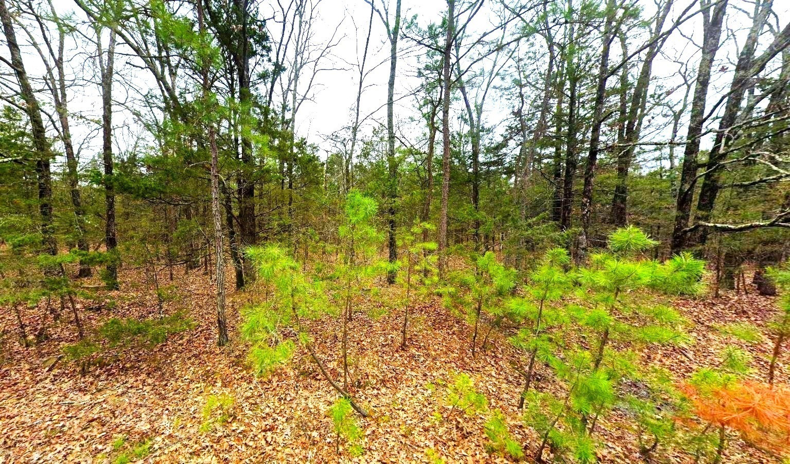 land for sale in arkansas ozarks