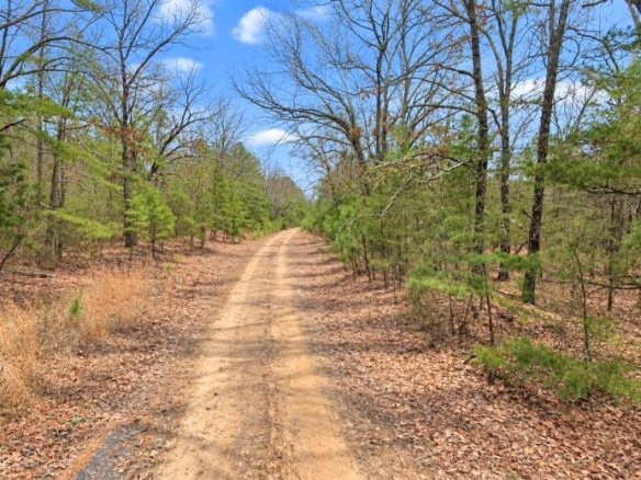 0.23-Acre Land in Ozark Arkansas For Sale