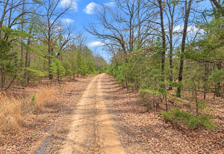 0.23-Acre Land in Ozark Arkansas For Sale