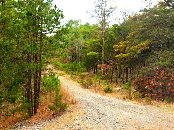 SOLD – 0.27-Acre Land for Sale in Mountain View Arkansas