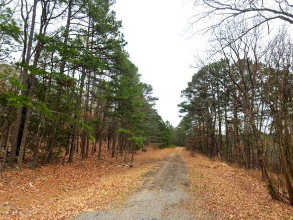 0.26-Acre Mountain View Arkansas Land for Sale