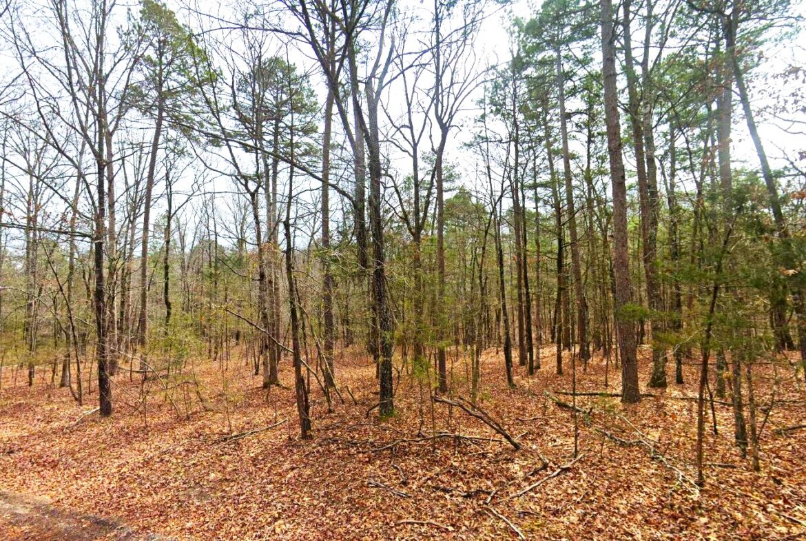 land for sale in arkansas ozarks