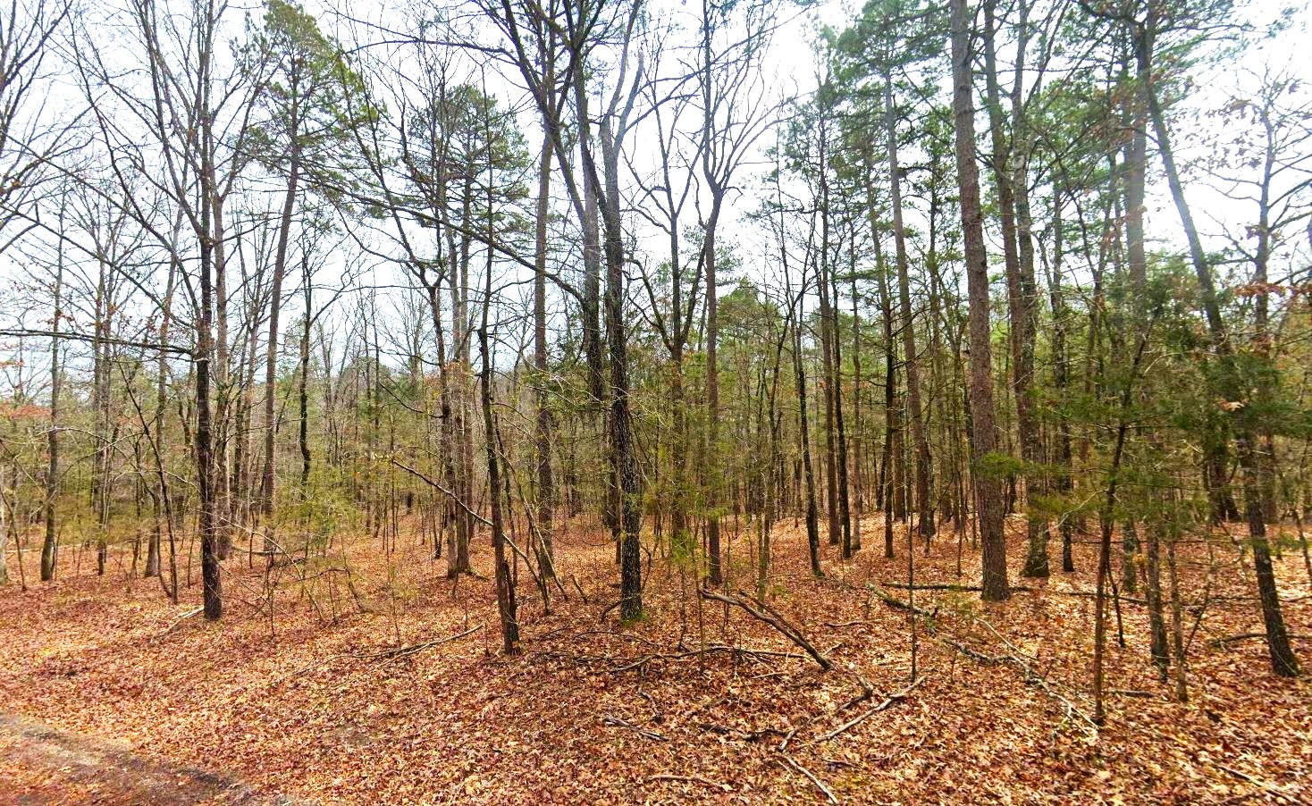 land for sale in arkansas ozarks