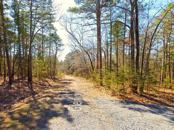 0.28 Acres cheap land for sale in Arkansas with Mountain View