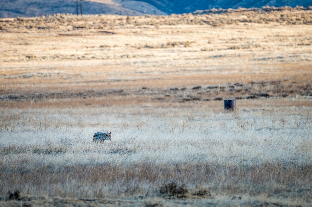 How to Buy Hunting Land with No Money Down