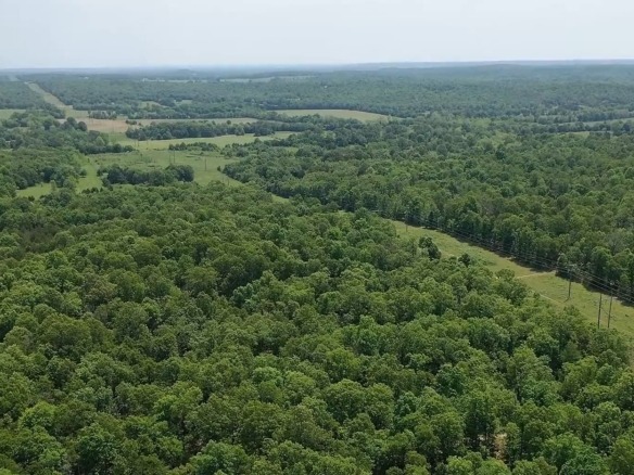 SOLD- 0.26 Acres Treed Land to Build or Invest near Lakes