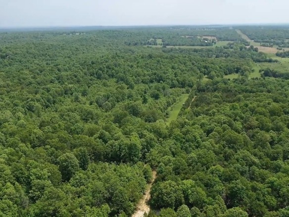 SOLD- 0.26 Acres Treed Land to Build or Invest near Lakes