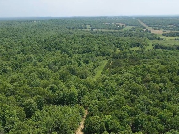 SOLD- 0.26 Acres Treed Land to Build or Invest near Lakes