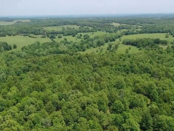 SOLD- 0.26 Acres Treed Land to Build or Invest near Lakes