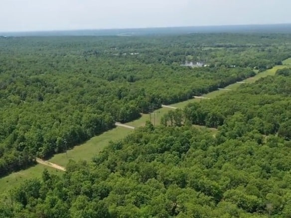 SOLD- 0.26 Acres Treed Land to Build or Invest near Lakes