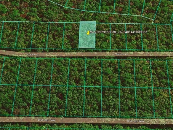 SOLD – 0.25 Acres Mountain View Land for Sale Fairfield Bay, AR