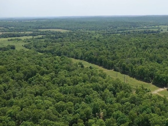 SOLD- 0.26 Acres Treed Land to Build or Invest near Lakes