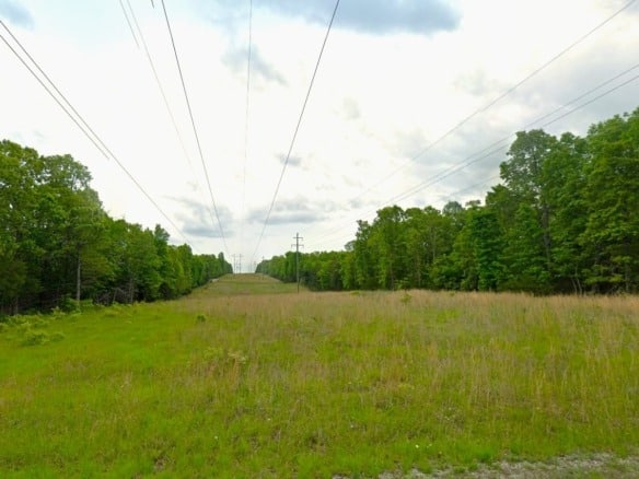 SOLD- 0.26 Acres Treed Land to Build or Invest near Lakes