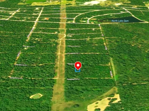 SOLD- 0.26 Acres Treed Land to Build or Invest near Lakes