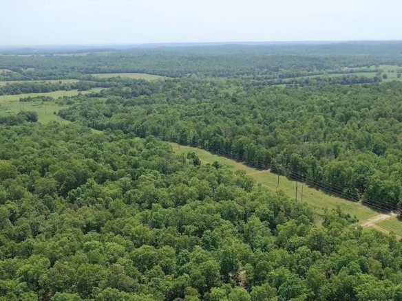 SOLD- 0.26 Acres Treed Land to Build or Invest near Lakes