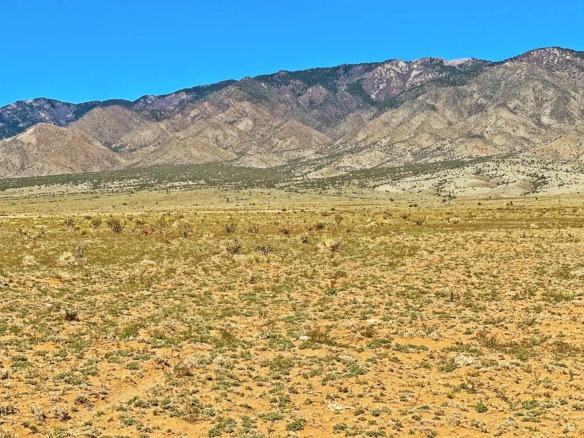 5 Acres to Build with Road Access and Mountain Views