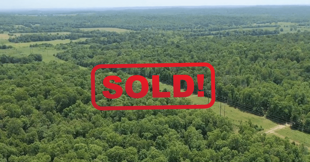 Copy of Copy of Copy of Bryan pics (5)