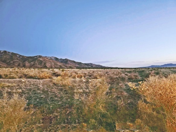 5 Acres to Build with Road Access and Mountain Views