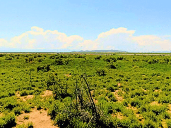 1.25 Acres Beautiful Land to Build with Mountain View