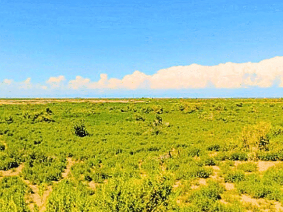 1.25 Acres Beautiful Land to Build with Mountain View